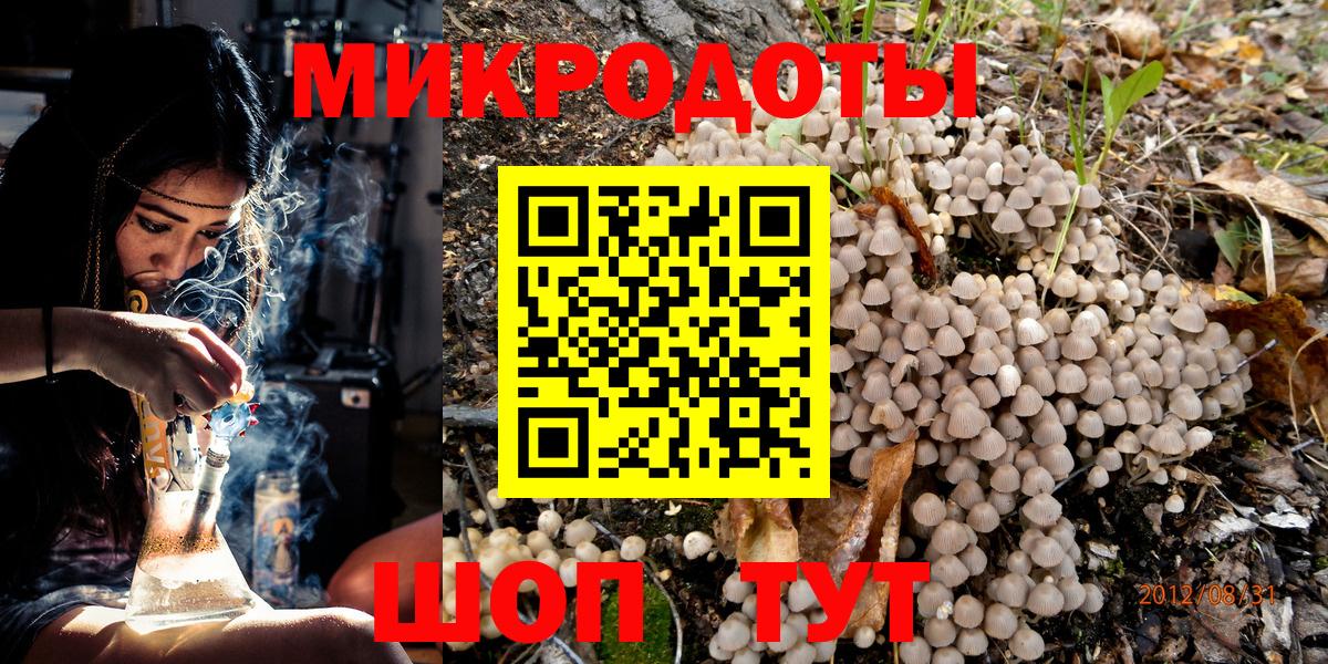 Псилоцибиновые грибы Psilocybe  Вход с VPN  Псилоцибиновые грибы мухоморы  Новокубанск 